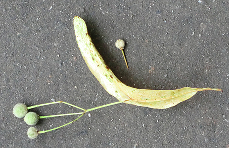 Fishinkblog 7931 Fishink in Manchester 1