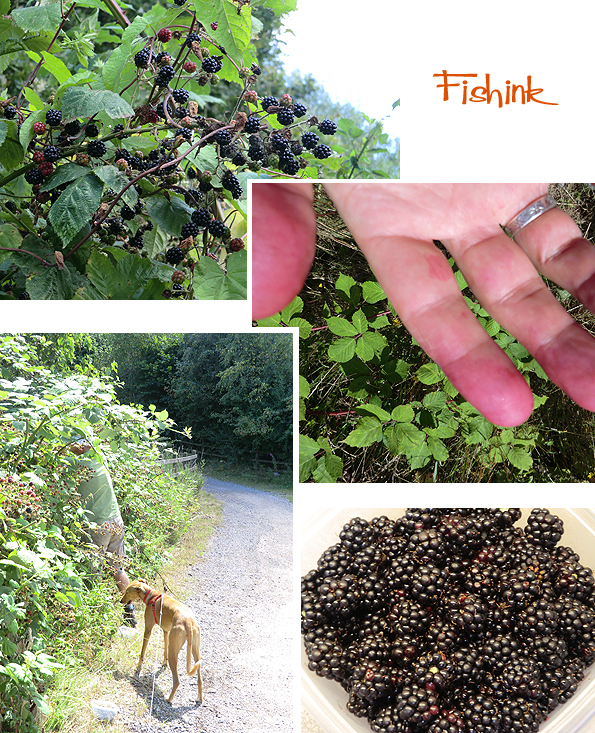 Fishinkblog 7962 Fishink Blackberrying 2