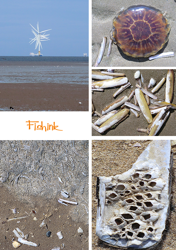 Fishinkblog 7972 Fishink at Beach 1