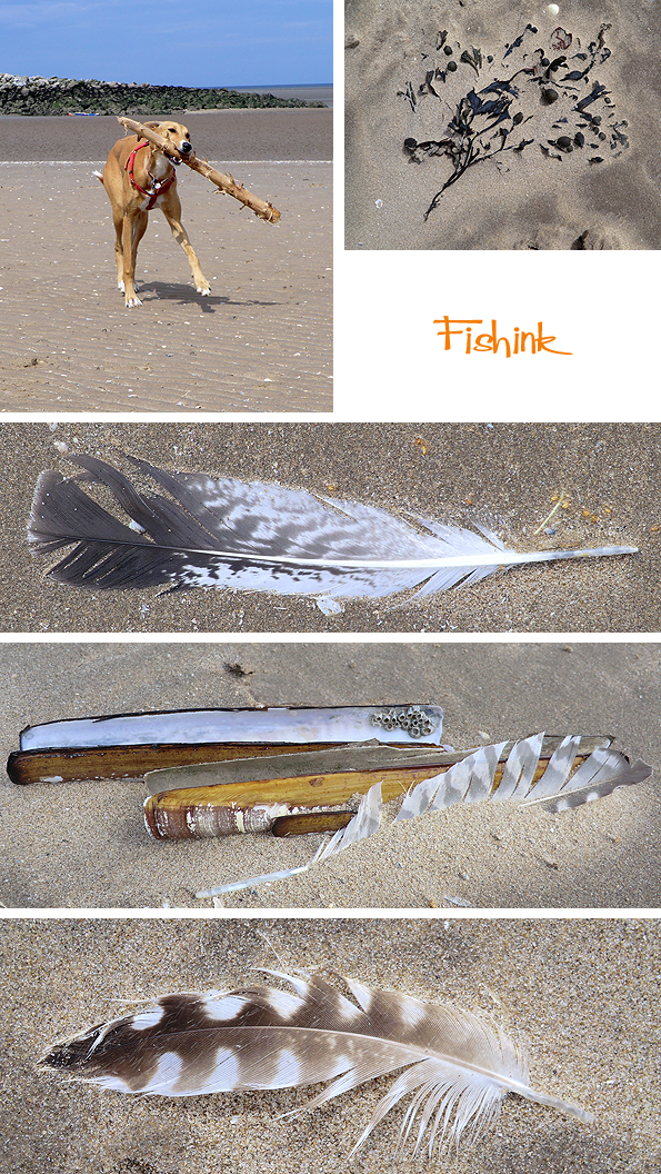 Fishinkblog 7974 Fishink at Beach 3