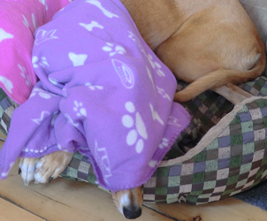 Fishinkblog 8081 Fishink Hilbre walk 1