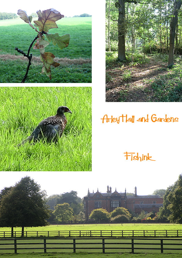 Fishinkblog 8110 Arley Hall 1
