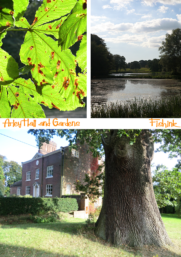 Fishinkblog 8114 Arley Hall 5
