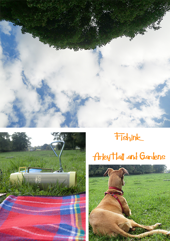 Fishinkblog 8115 Arley Hall 6