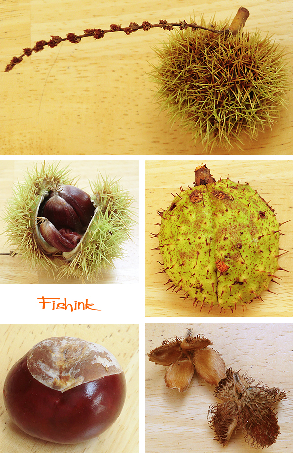 Fishinkblog 8176 Fishink images 2