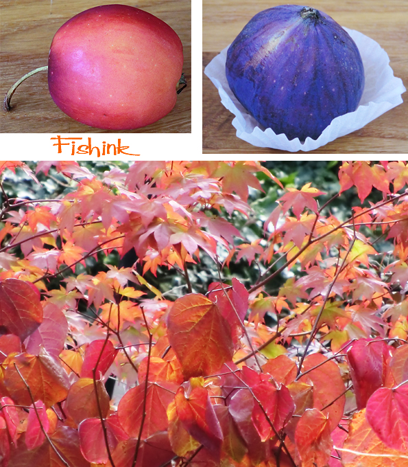 Fishinkblog 8177 Fishink images 3