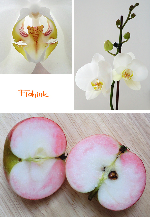 Fishinkblog 8178 Fishink images 4