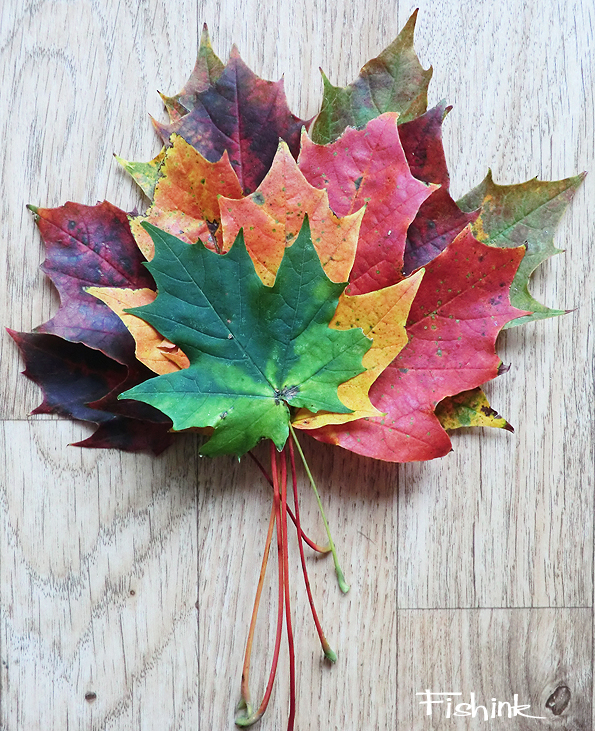 Fishinkblog 8180 Fishink images 6