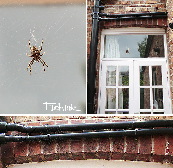 Fishinkblog 8183 Fishink images 9