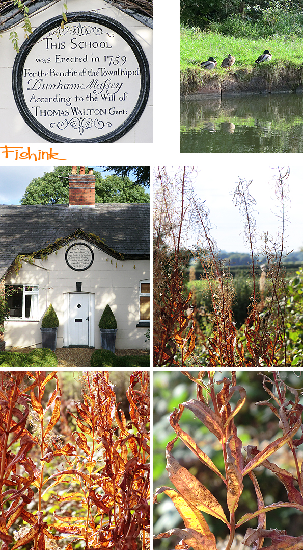 Fishinkblog 8212 Fishink Walks Dunham Massey 5