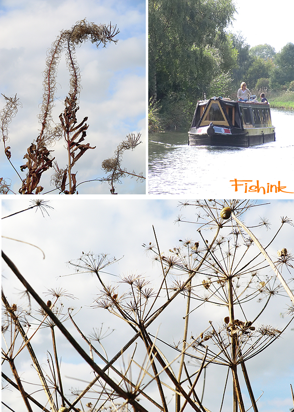Fishinkblog 8214 Fishink Walks Dunham Massey 7