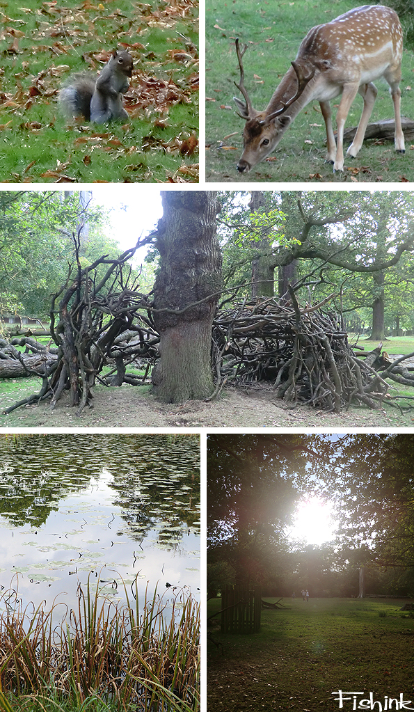 Fishinkblog 8218 Fishink Walks Dunham Massey 11