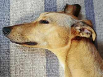 Fishinkblog 8231 Fishink Camping 1