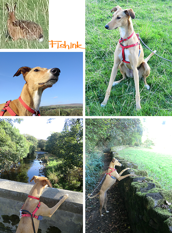 Fishinkblog 8232 Fishink Camping 2