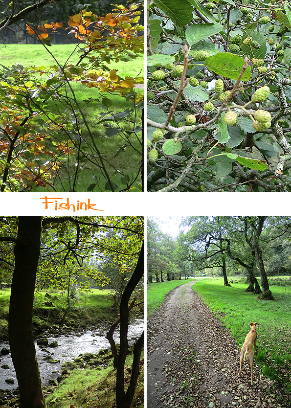 Fishinkblog 8239 Fishink Camping 9