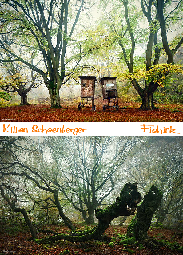 Fishinkblog 8384 Kilian Schoenberger 16