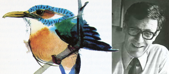 Fishinkblog 8448 Mirko Hanak 6