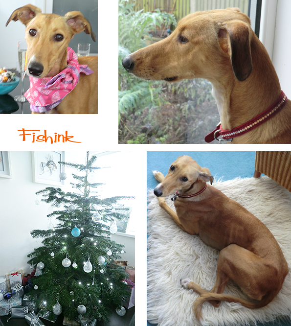 Fishinkblog 8506 Christmas 1