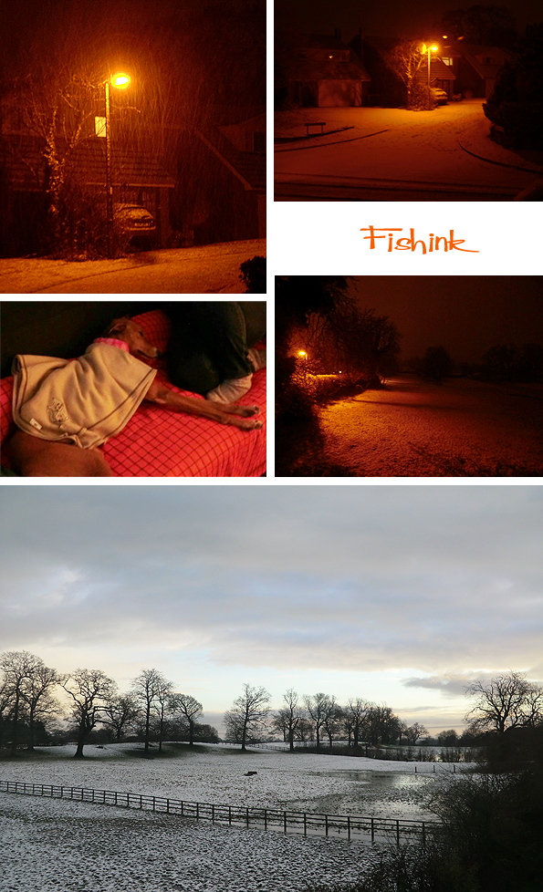 Fishinkblog 8514 Christmas 9