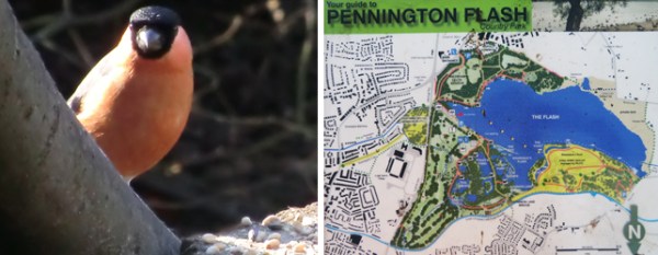 Fishinkblog 8760 Pennington Flash birds 2