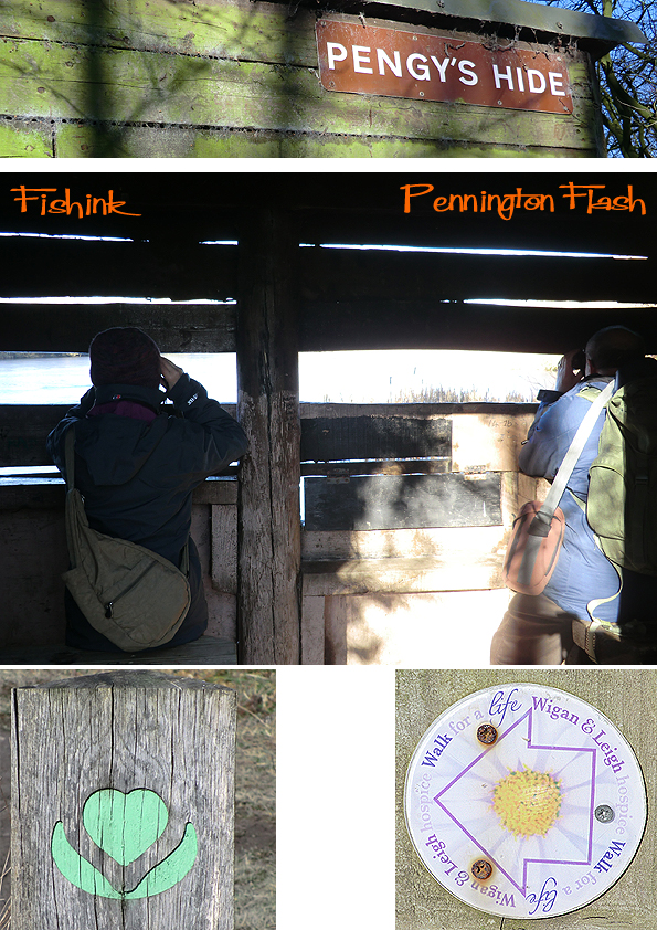 Fishinkblog 8762 Pennington Flash birds 4