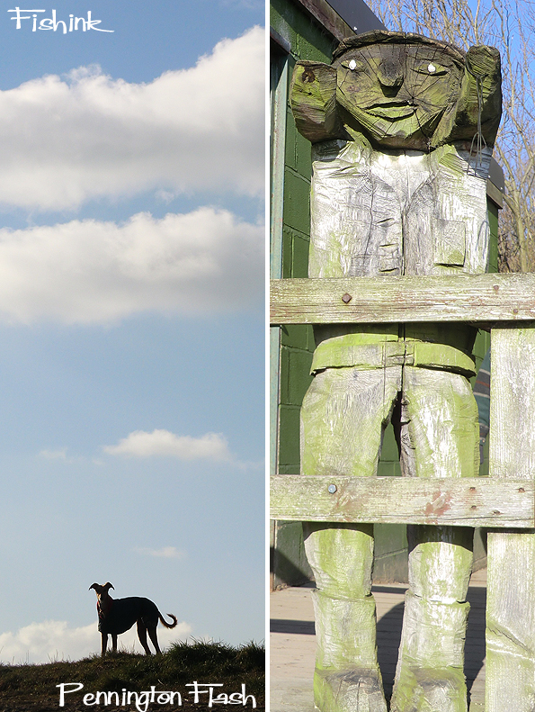 Fishinkblog 8771 Pennington Flash birds 13