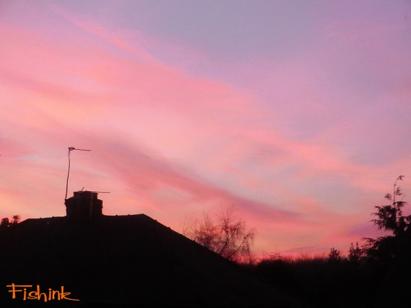 Fishinkblog 8771 Pennington Flash birds 14