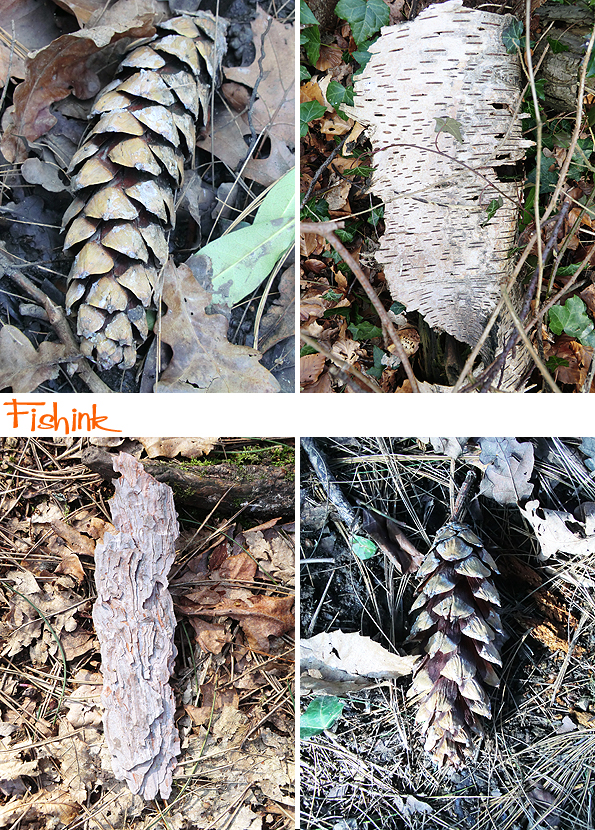 Fishinkblog 8915 Fishink Spring Walk 3