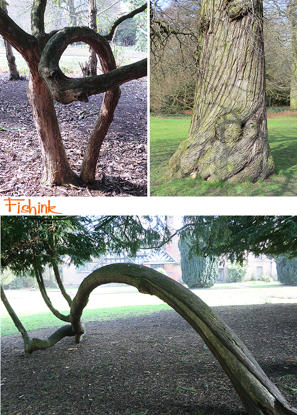 Fishinkblog 8919 Fishink Spring Walk 7