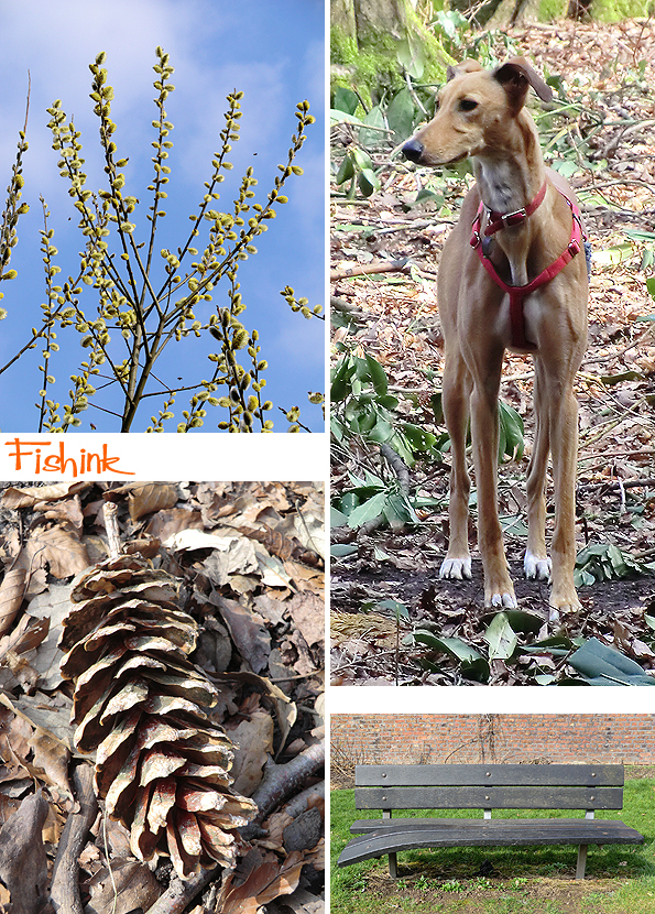 Fishinkblog 8921 Fishink Spring Walk 9