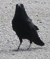 Fishinkblog 8922 Fishink Spring Walk 10a