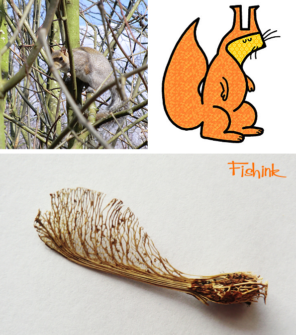 Fishinkblog 8946 Fishink sycamore squirrel