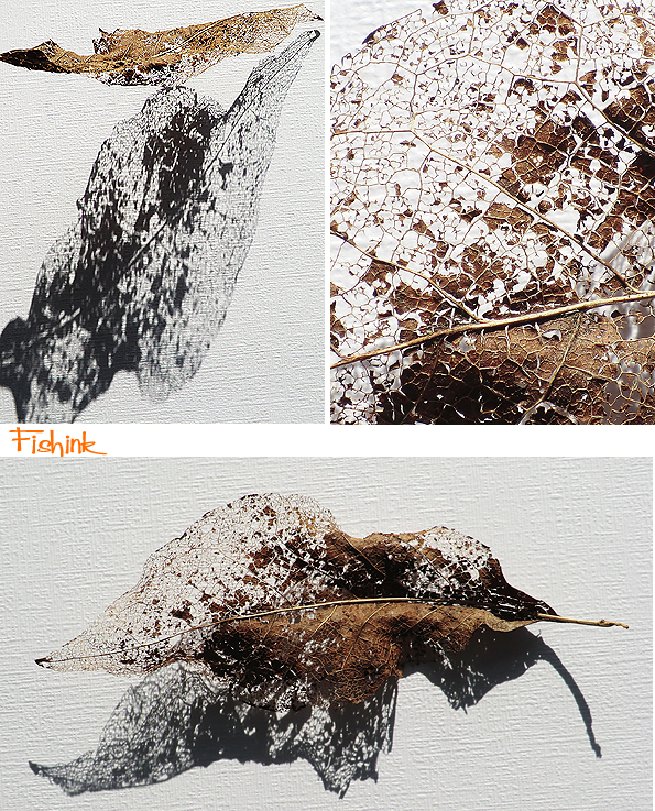 Fishinkblog 8947 Fishink leaf