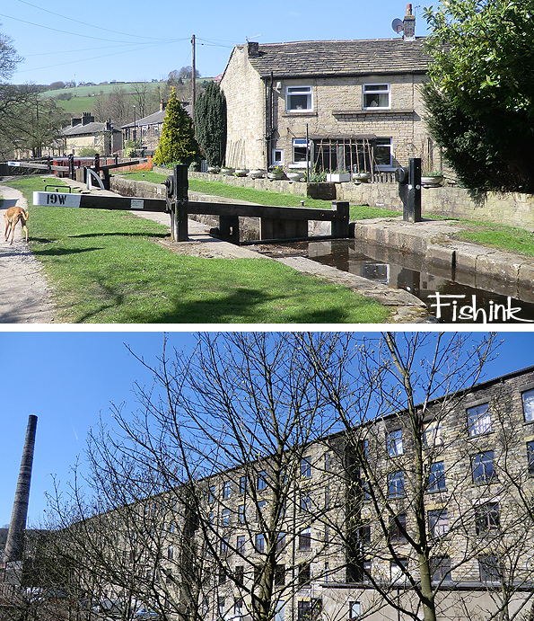 Fishinkblog 9014 Fishink Walks 3