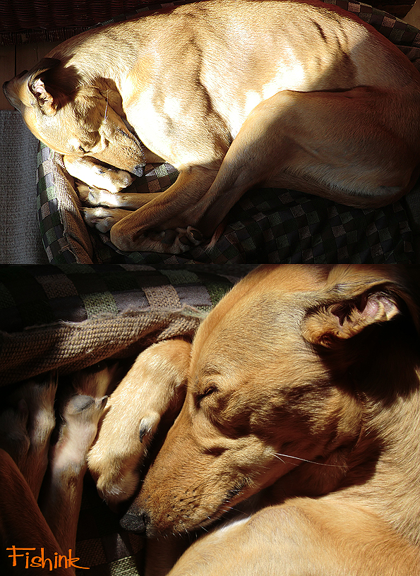 Fishinkblog 9022 Fishink Walks 11