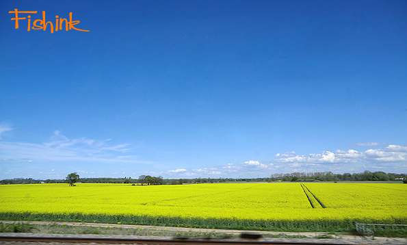 Fishinkblog 9137 Fishink London 43