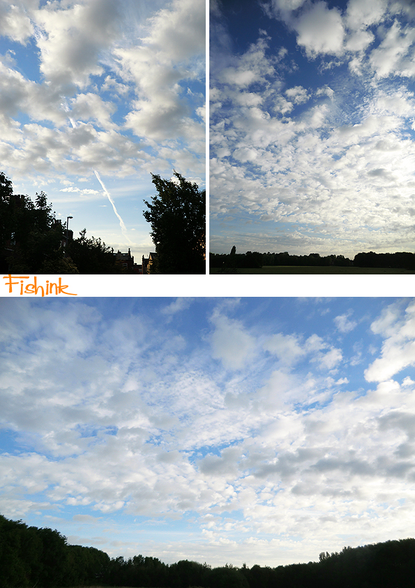 Fishinkblog 9207 Fishink Walk 1