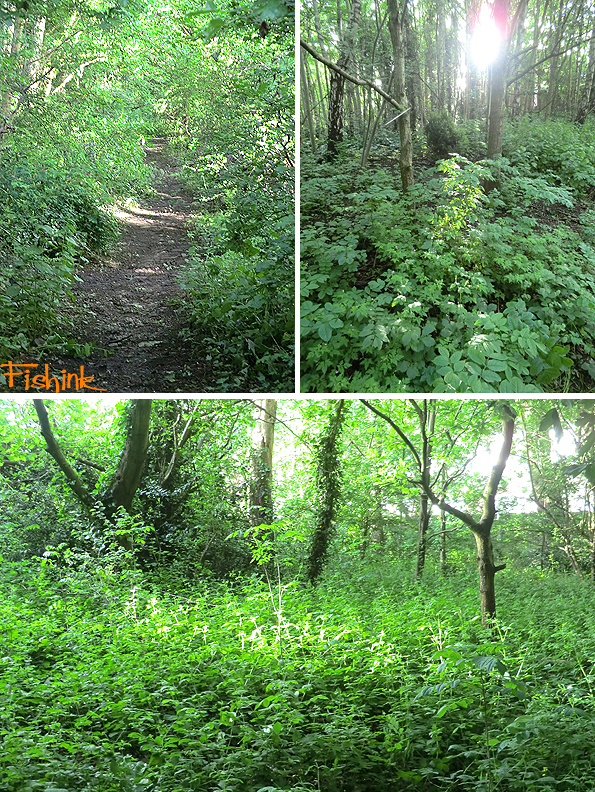 Fishinkblog 9214 Fishink Walk 8