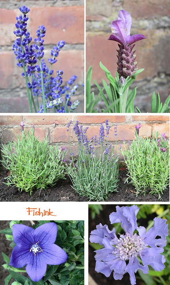 Fishinkblog 9279 Fishink in the garden 1