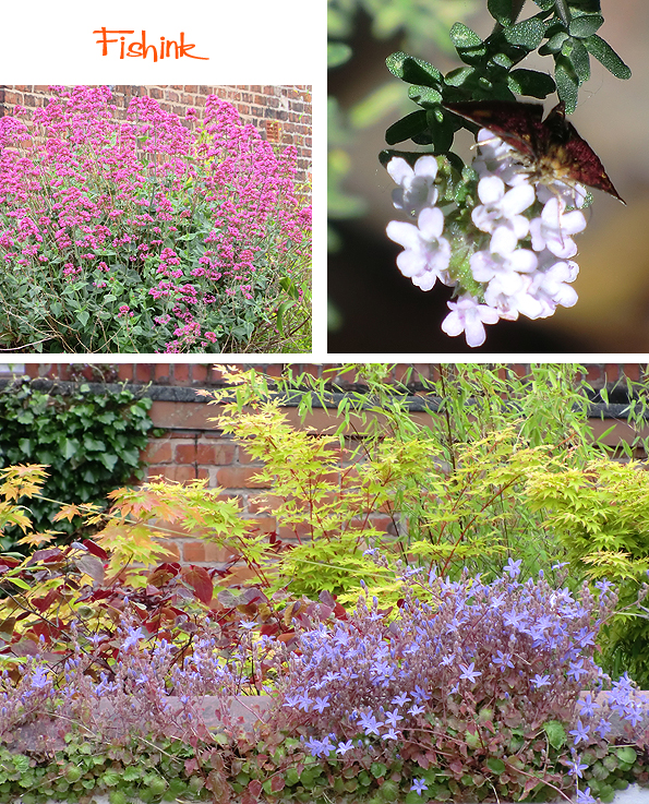 Fishinkblog 9283 Fishink in the garden 5