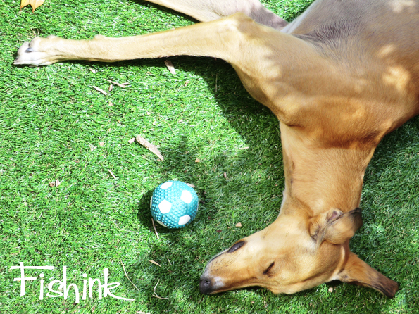 Fishinkblog 9398 Boo