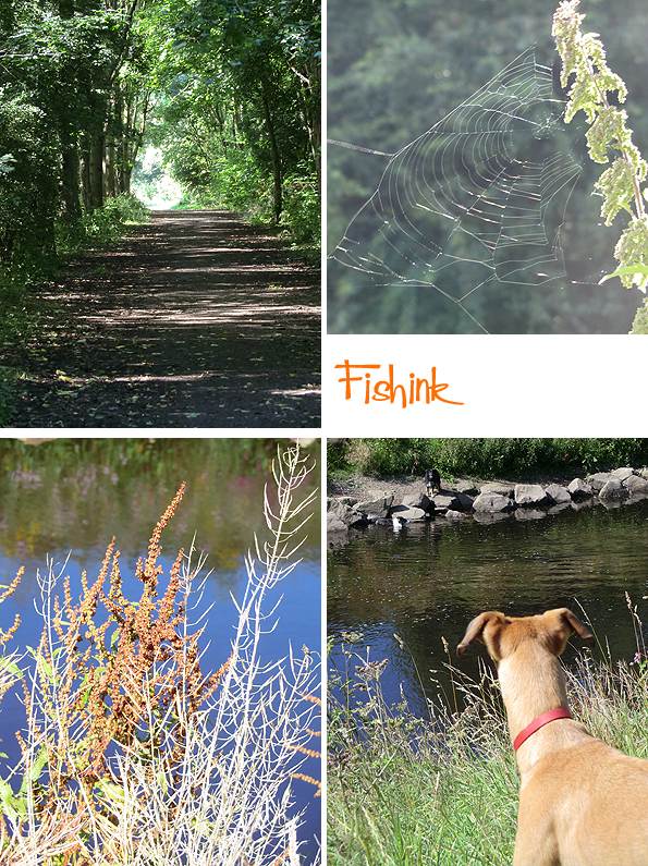 Fishinkblog 9407 Fishink Walk 2