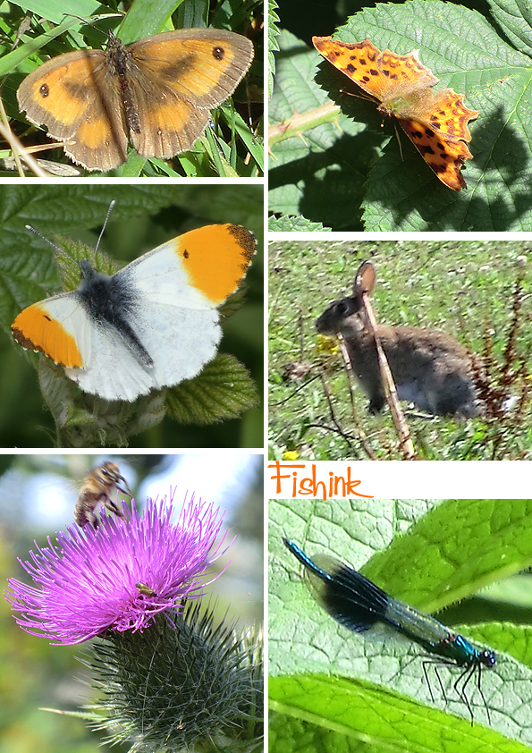 Fishinkblog 9409 Fishink Walk 4