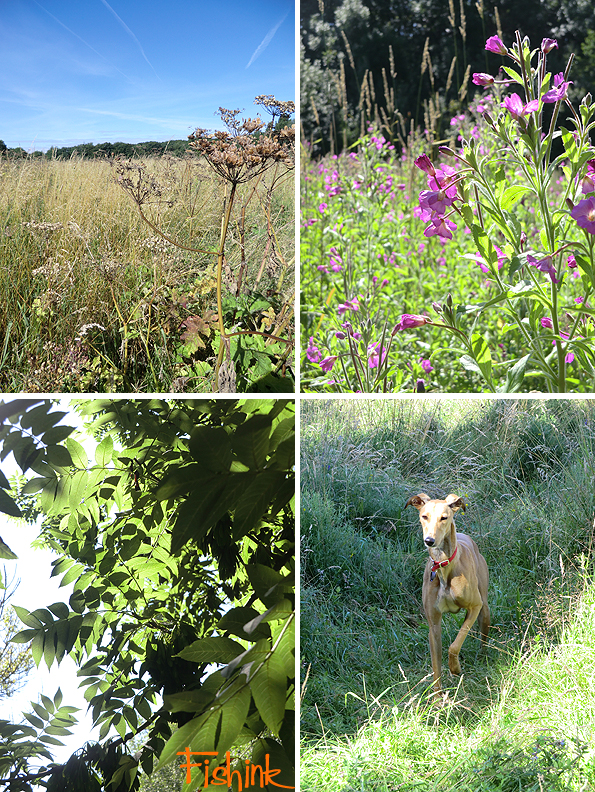 Fishinkblog 9411 Fishink Walk 6