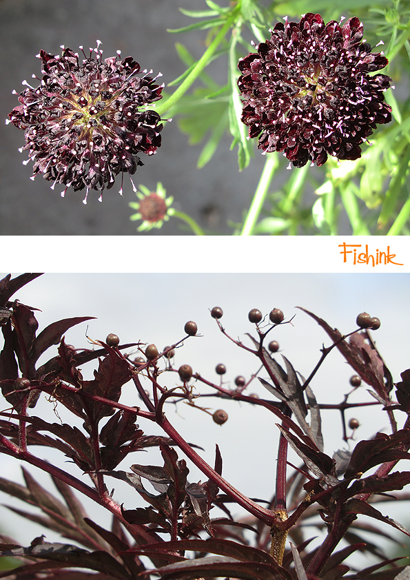 Fishinkblog 9495 Fishink in Tarporley 2