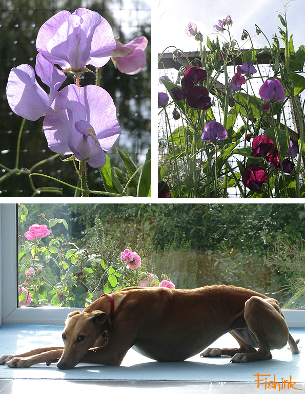 Fishinkblog 9497 Fishink in Tarporley 4