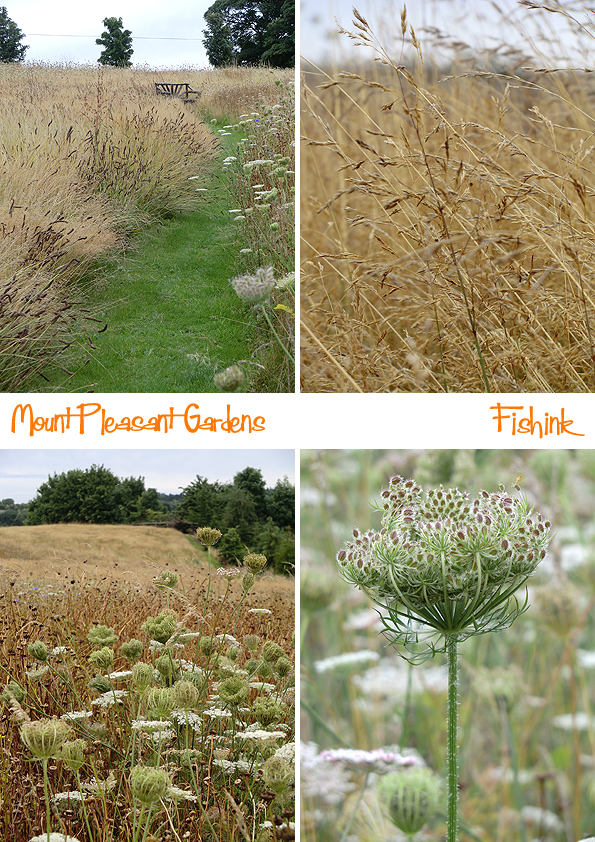 Fishinkblog 9502 Fishink in Tarporley 9