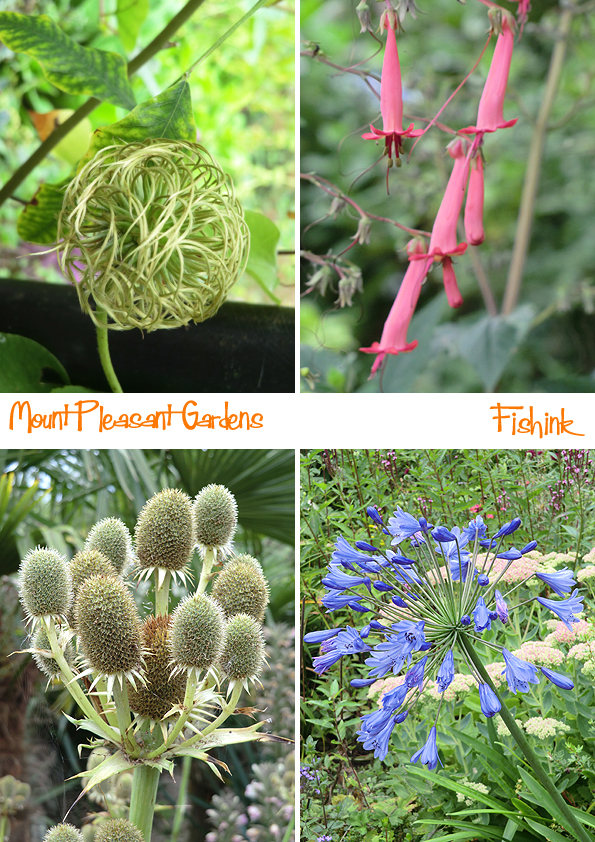 Fishinkblog 9506 Fishink in Tarporley 13