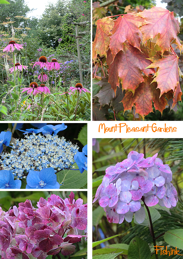 Fishinkblog 9507 Fishink in Tarporley 14