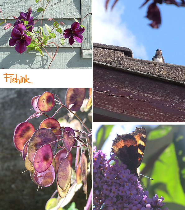 Fishinkblog 9541 Fishink in Ireland 7